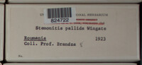 Image Associated With the Occurence